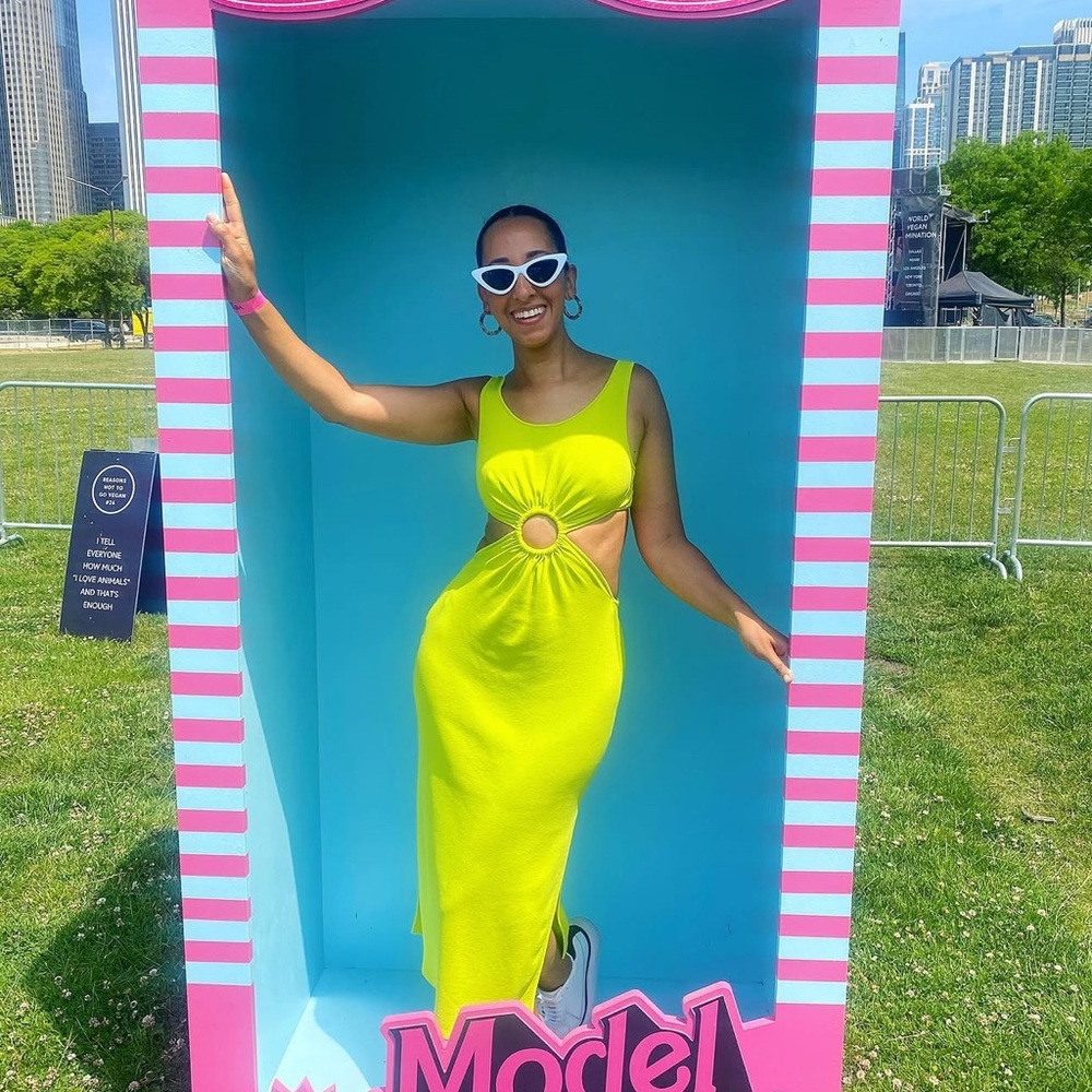 Solid & Striped Lime Green Top - image 1